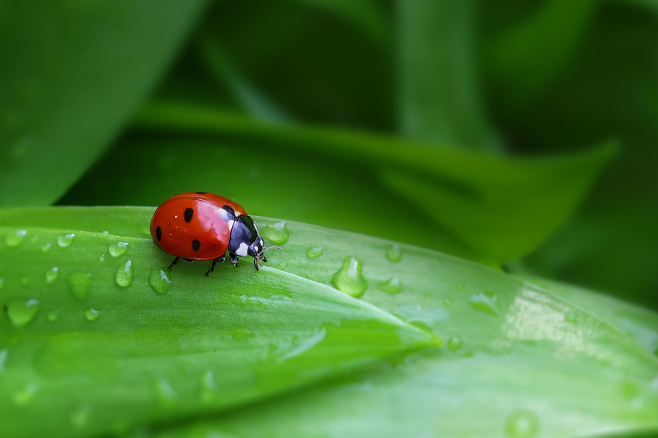虫刺されの症状で小児科に行くべきタイミングは？